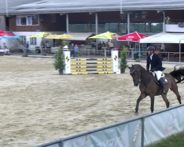 Reitturnier Rankweil 2025