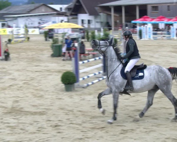 Reitturnier Rankweil 2025