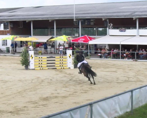 Reitturnier Rankweil 2025