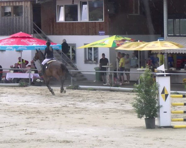 Reitturnier Rankweil 2025
