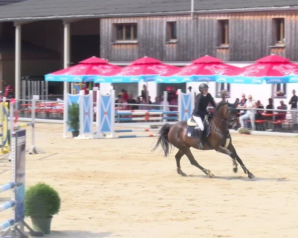 Reitturnier Rankweil 2025