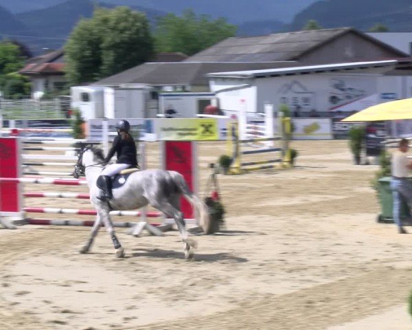 Reitturnier Rankweil 2025