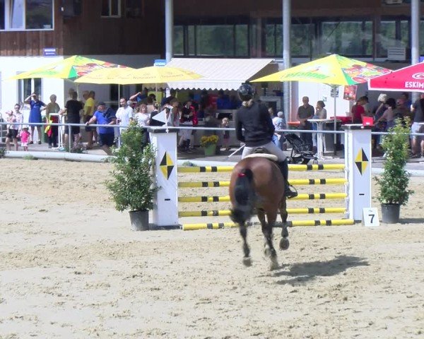 Reitturnier Rankweil 2025