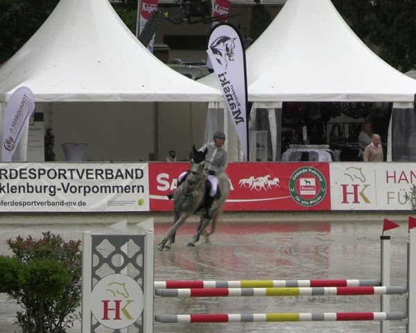 Reitturnier Redefin 2025