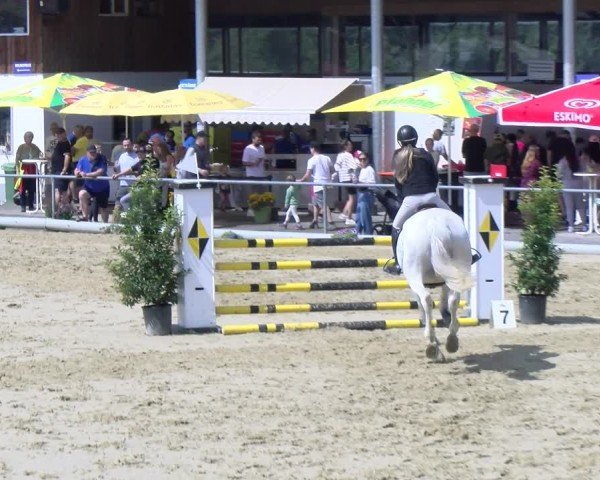 Reitturnier Rankweil 2025