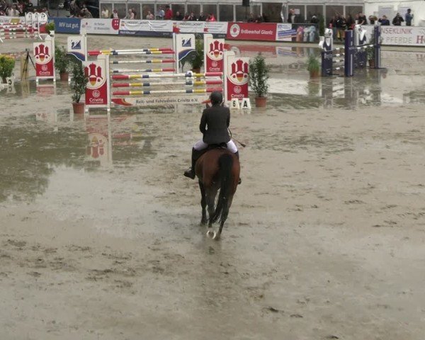Reitturnier Redefin 2025