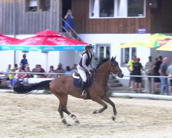 Reitturnier Rankweil 2025