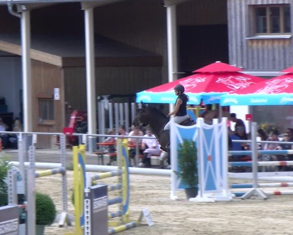 Reitturnier Rankweil 2025