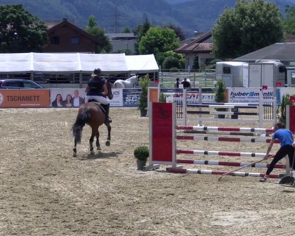 Reitturnier Rankweil 2025