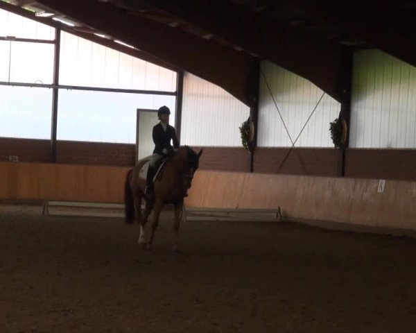 Iserlohn-Kalthof 2014