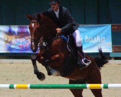 jumper Banyul (KWPN (Royal Dutch Sporthorse), 2006, from Lupicor)