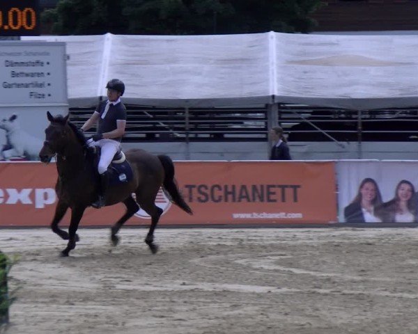 Reitturnier Rankweil 2025