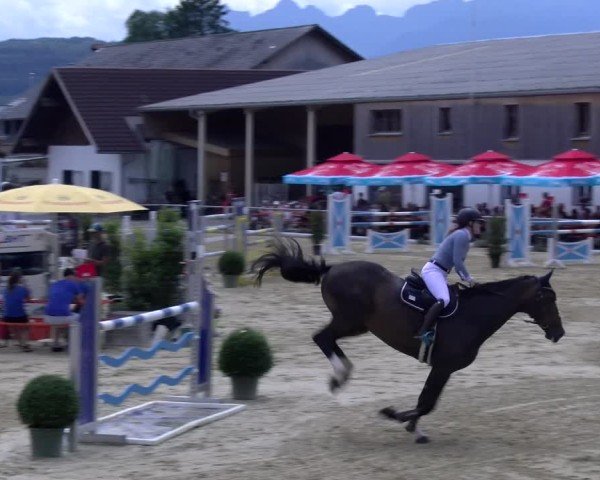 Reitturnier Rankweil 2025
