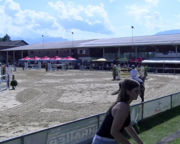 Reitturnier Rankweil 2025