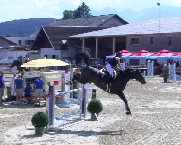 Reitturnier Rankweil 2025