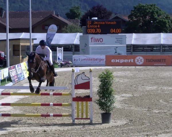 Reitturnier Rankweil 2025