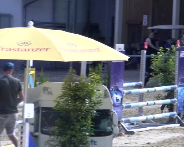 Reitturnier Rankweil 2025