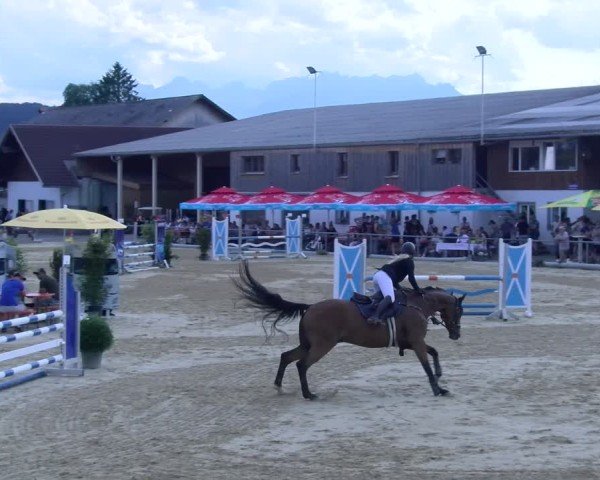 Reitturnier Rankweil 2025