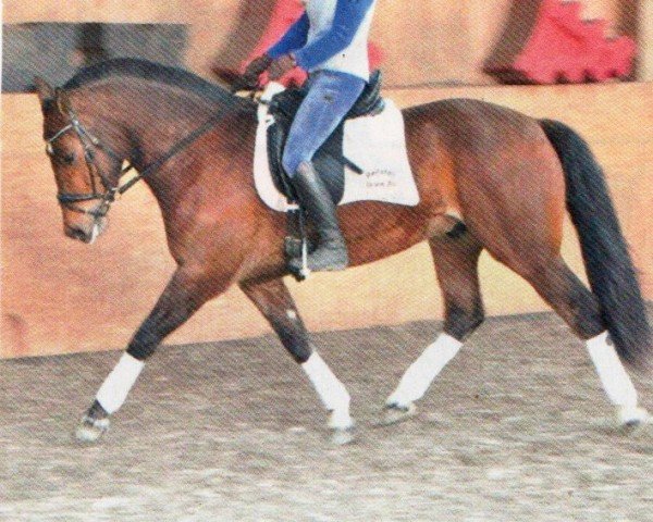 Dressurpferd Elyps (Freiberger, 2008, von Elysee II)