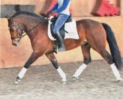 dressage horse Elyps (Freiberger, 2008, from Elysee II)