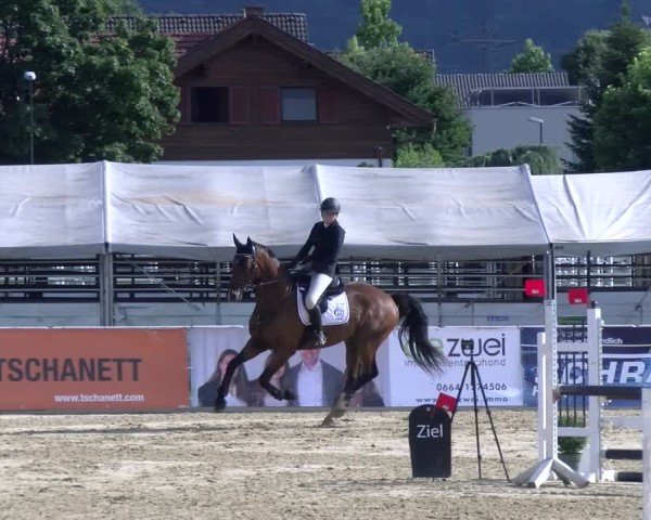Reitturnier Rankweil 2025