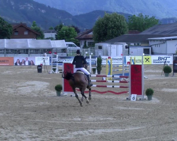 Reitturnier Rankweil 2025