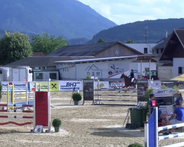 Reitturnier Rankweil 2025