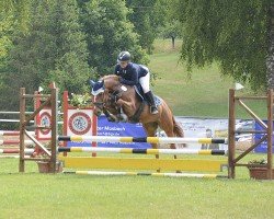 dressage horse Crazy Cinderella 4 (unknown, 2020)