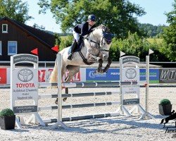 jumper Picaro 107 (German Sport Horse, 2019, from Prinz Ludwig)