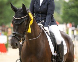 dressage horse Fräulein Elektra 3 (Oldenburg, 2016, from Fuerst William Old)