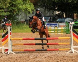 jumper Obora's Little Stuart (Estonian Sport, 2015, from Luidam)