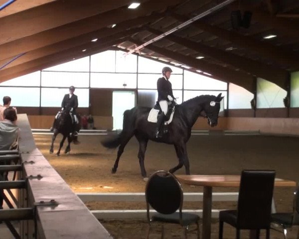 Iserlohn-Kalthof 2014