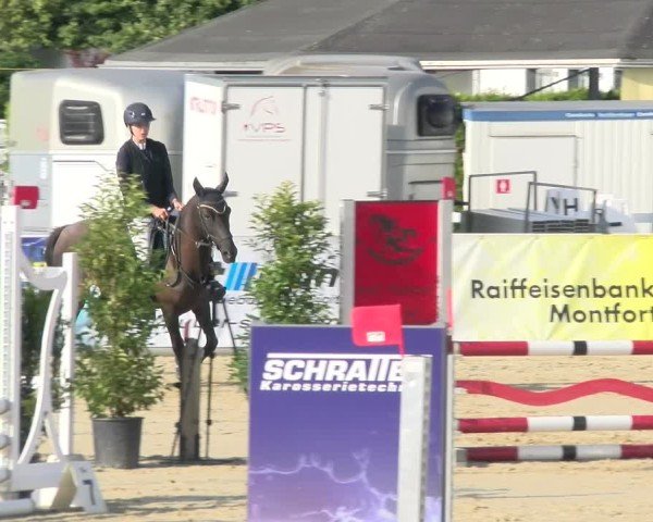 Reitturnier Rankweil 2025