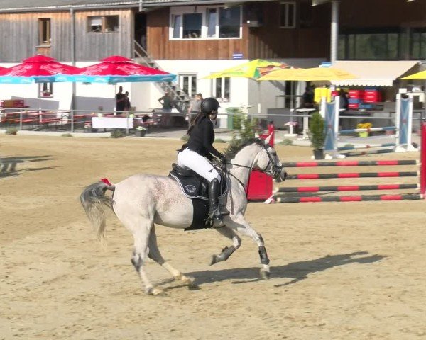 Reitturnier Rankweil 2025