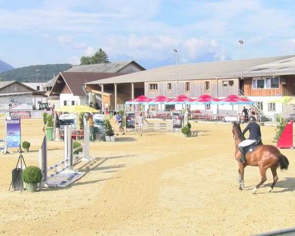 Reitturnier Rankweil 2025