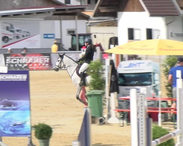 Reitturnier Rankweil 2025