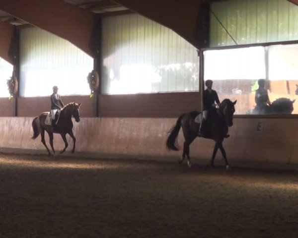 Iserlohn-Kalthof 2014