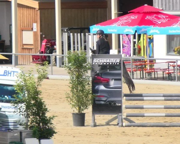 Reitturnier Rankweil 2025