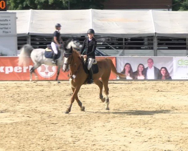Reitturnier Rankweil 2025