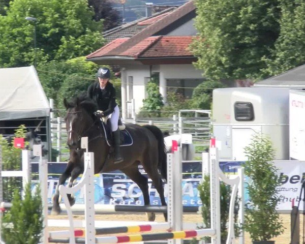 Reitturnier Rankweil 2025