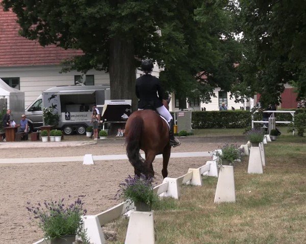 Reitturnier Redefin 2025
