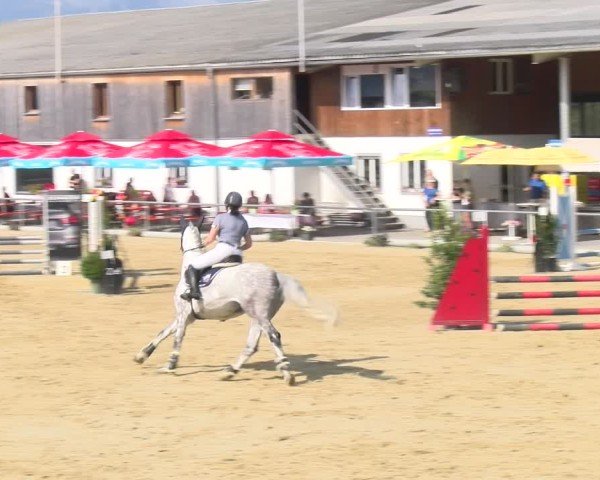 Reitturnier Rankweil 2025