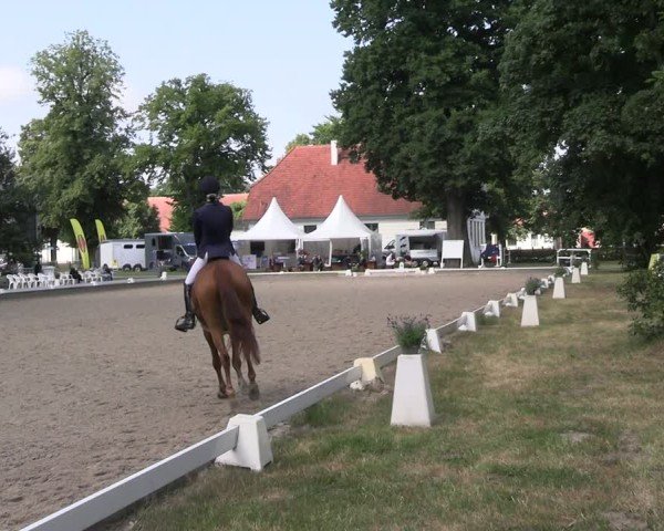 Reitturnier Redefin 2025
