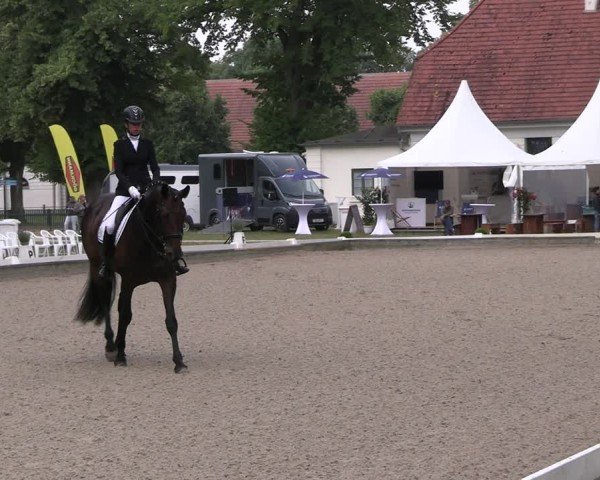 Reitturnier Redefin 2025