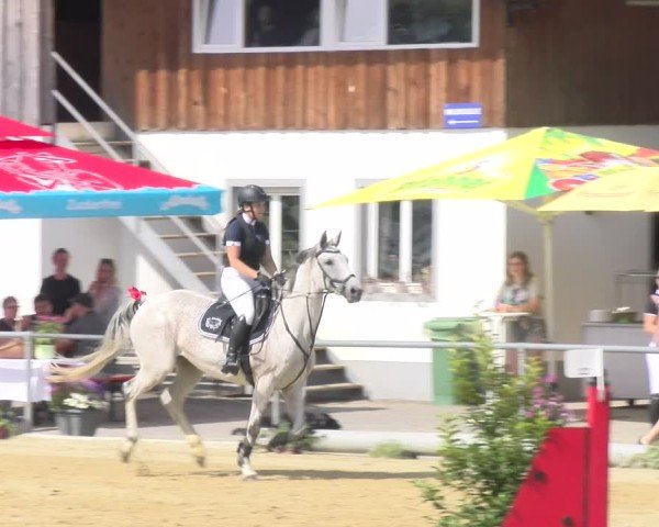 Reitturnier Rankweil 2025