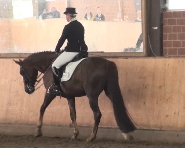 Iserlohn-Kalthof 2014
