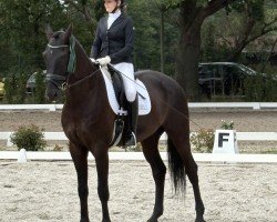 Dressurpferd Grand Golo (Deutsches Sportpferd, 2020, von Kastel's Grand Galaxy Win)