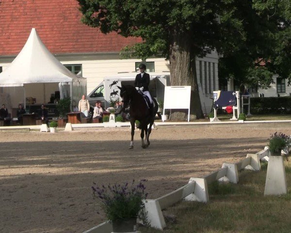 Reitturnier Redefin 2025