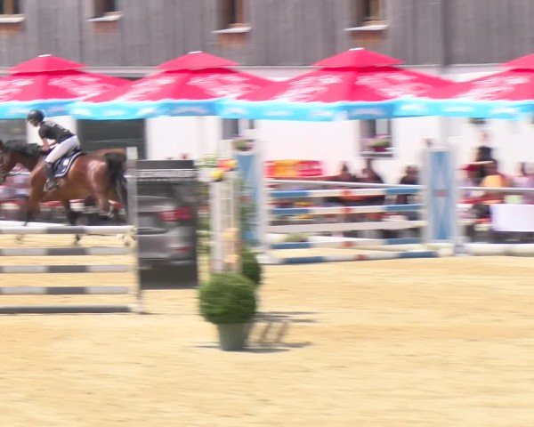 Reitturnier Rankweil 2025