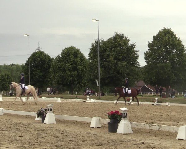 Reitturnier Münster-Roxel 2025